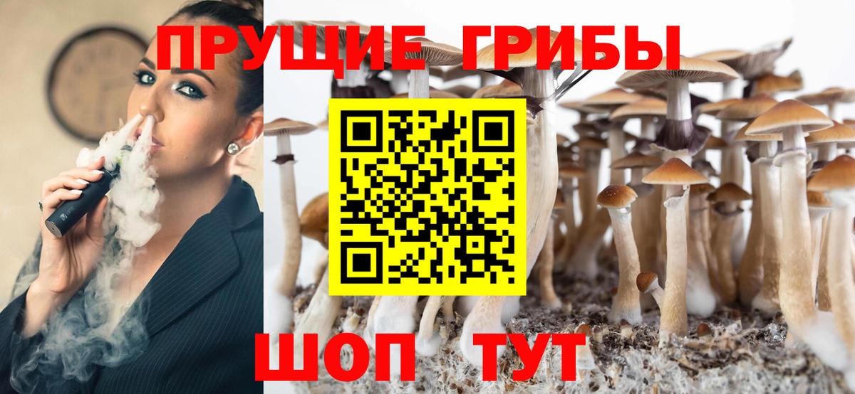 Тавда  Псилоцибиновые грибы мухоморы  Вход с VPN 
